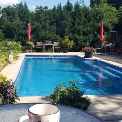 Heated saltwater pool surrounded by trees at Naramata Vineyard B&B
